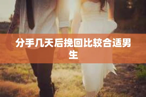分手几天后挽回比较合适男生