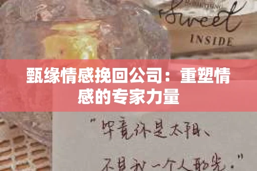 甄缘情感挽回公司：重塑情感的专家力量