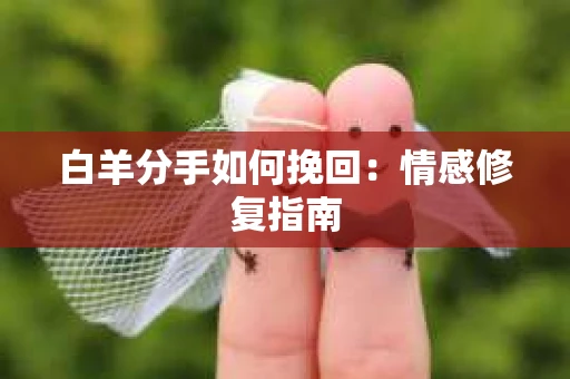 白羊分手如何挽回：情感修复指南