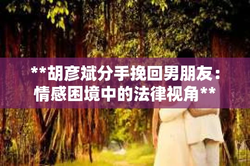 **胡彦斌分手挽回男朋友：情感困境中的法律视角**