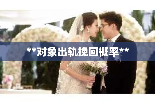 **对象出轨挽回概率**