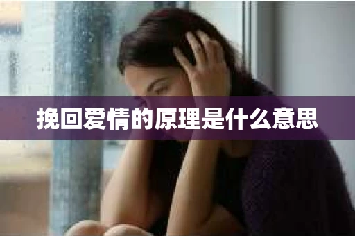 挽回爱情的原理是什么意思