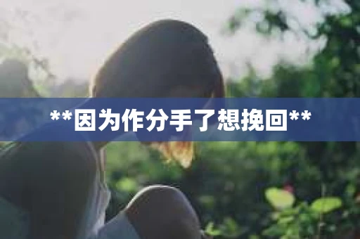 **因为作分手了想挽回**