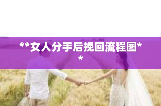 **女人分手后挽回流程图**
