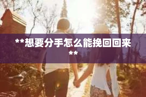 **想要分手怎么能挽回回来**