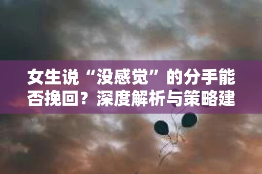 女生说“没感觉”的分手能否挽回？深度解析与策略建议