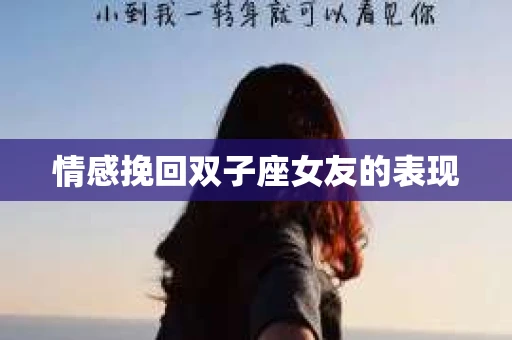 情感挽回双子座女友的表现