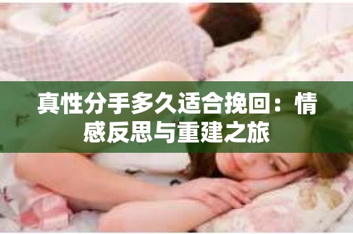 真性分手多久适合挽回：情感反思与重建之旅