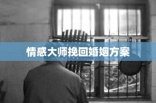 情感大师挽回婚姻方案
