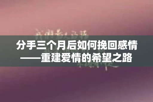 分手三个月后如何挽回感情——重建爱情的希望之路