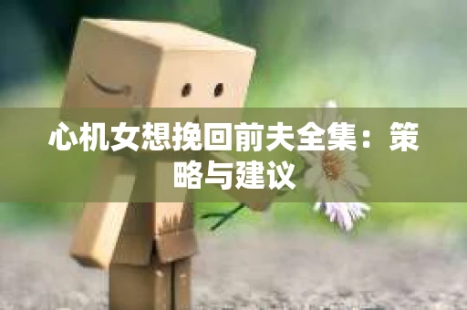 心机女想挽回前夫全集：策略与建议