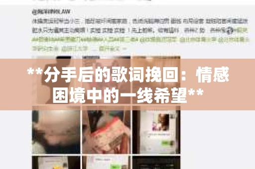 **分手后的歌词挽回：情感困境中的一线希望**
