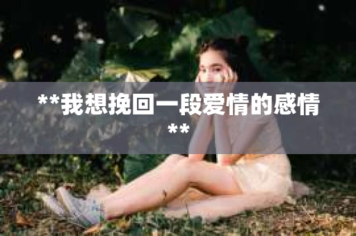 **我想挽回一段爱情的感情**