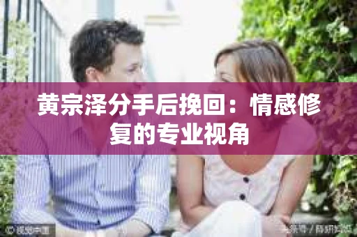 黄宗泽分手后挽回：情感修复的专业视角