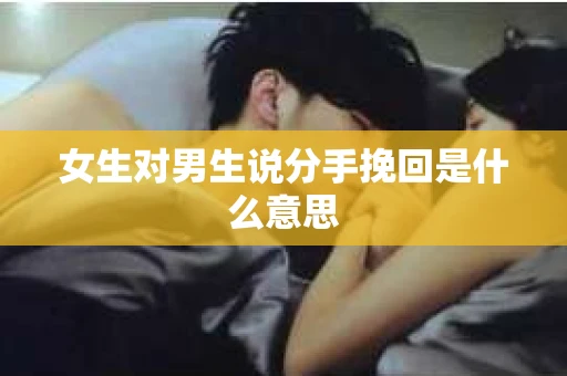 女生对男生说分手挽回是什么意思
