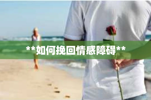 **如何挽回情感障碍**