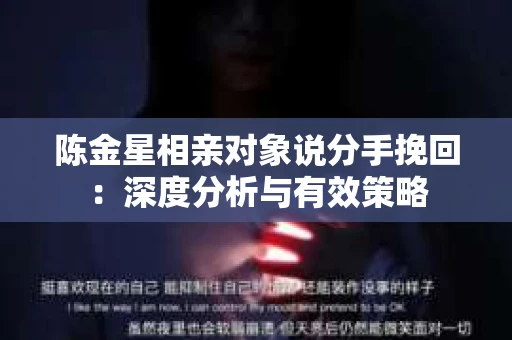陈金星相亲对象说分手挽回：深度分析与有效策略