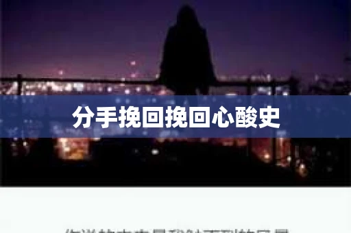 分手挽回挽回心酸史