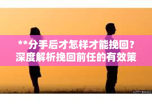 **分手后才怎样才能挽回？深度解析挽回前任的有效策略**