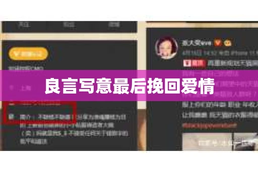 良言写意最后挽回爱情