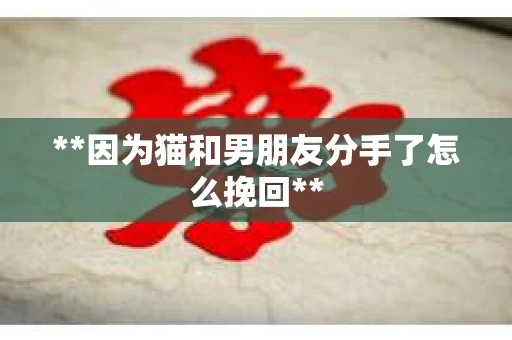 **因为猫和男朋友分手了怎么挽回**
