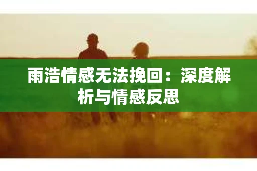 雨浩情感无法挽回：深度解析与情感反思