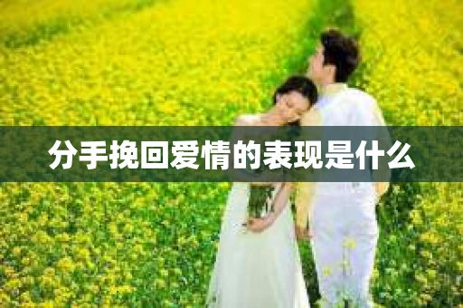 分手挽回爱情的表现是什么