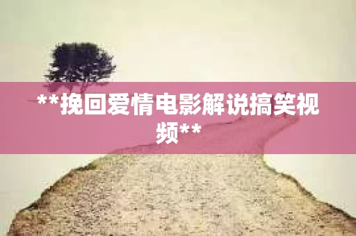 **挽回爱情电影解说搞笑视频**