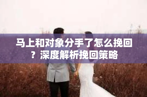 马上和对象分手了怎么挽回？深度解析挽回策略
