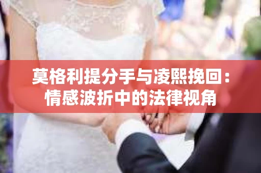 莫格利提分手与凌熙挽回：情感波折中的法律视角
