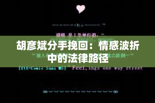 胡彦斌分手挽回：情感波折中的法律路径