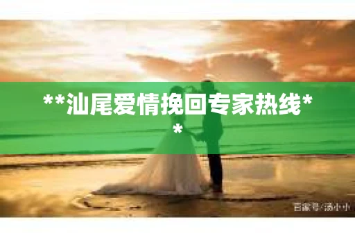 **汕尾爱情挽回专家热线**