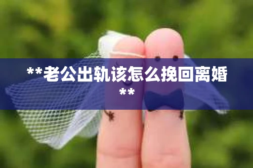 **老公出轨该怎么挽回离婚**
