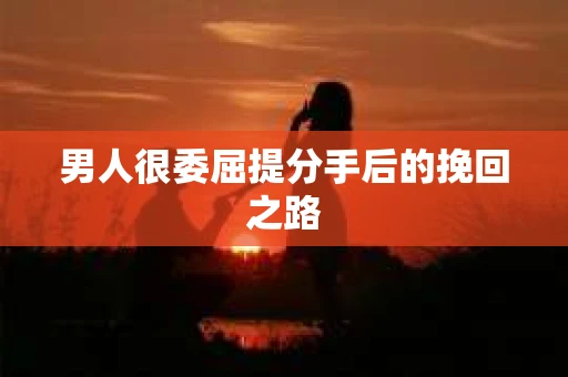 男人很委屈提分手后的挽回之路