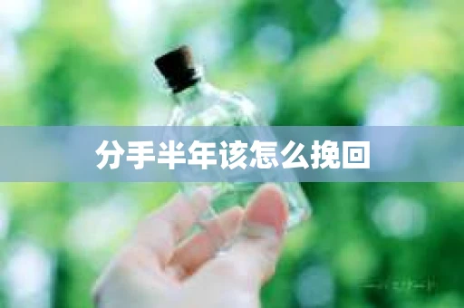 分手半年该怎么挽回
