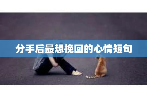分手后最想挽回的心情短句