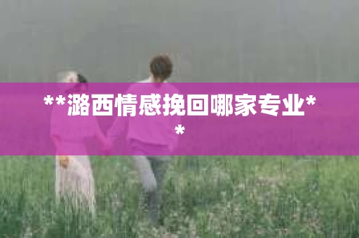 **潞西情感挽回哪家专业**