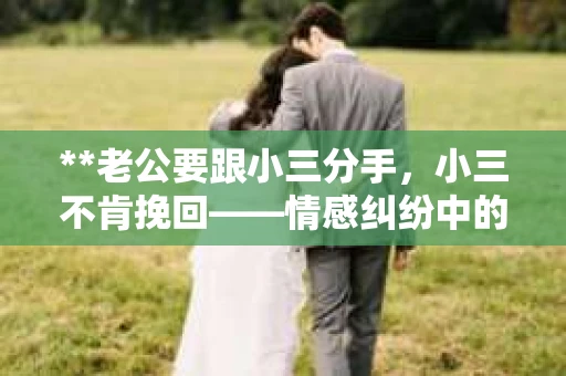 **老公要跟小三分手，小三不肯挽回——情感纠纷中的法律解读与案例分析**
