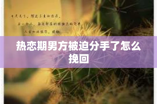 热恋期男方被迫分手了怎么挽回