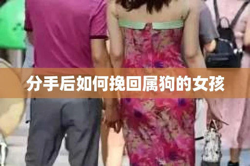 分手后如何挽回属狗的女孩