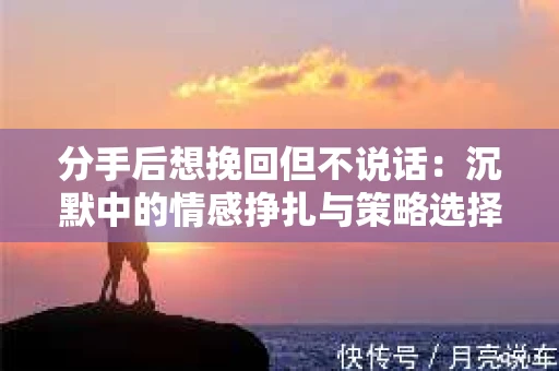 分手后想挽回但不说话：沉默中的情感挣扎与策略选择