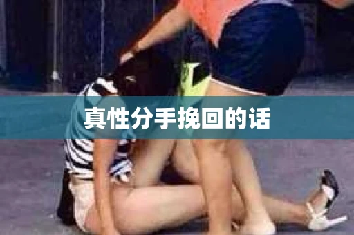 真性分手挽回的话