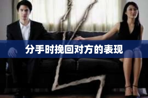 分手时挽回对方的表现