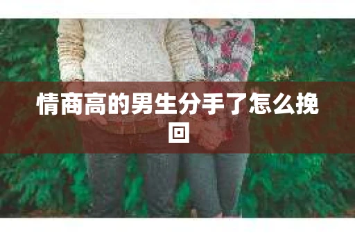 情商高的男生分手了怎么挽回