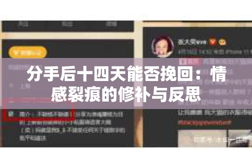 分手后十四天能否挽回：情感裂痕的修补与反思