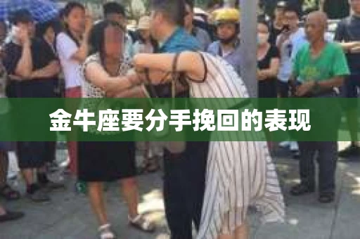 金牛座要分手挽回的表现