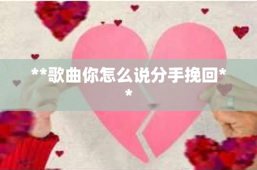 **歌曲你怎么说分手挽回**