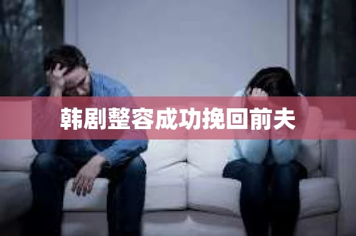 韩剧整容成功挽回前夫