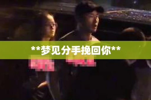 **梦见分手挽回你**