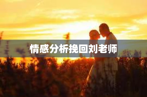 情感分析挽回刘老师